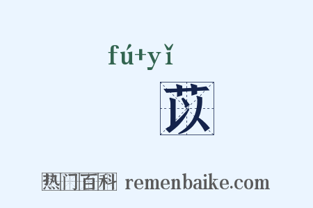 芣苡是什么意思的图片